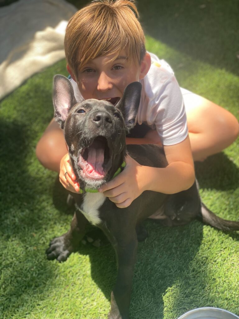 Meet Jack, 2-Month-Old Pup with Severe Leg Injury
