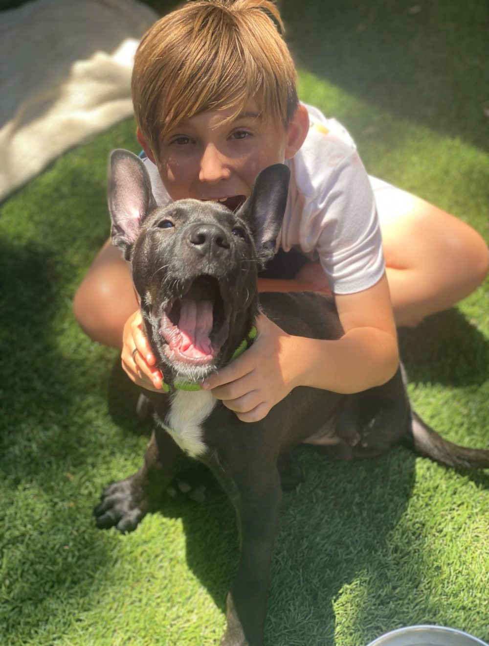 Jack Puppy